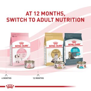 Bundle of Royal Canin Feline Health Nutrition Kitten Thin Slices in Gravy Canned Cat Food, 3 Oz Can, Pack of 24 + Royal Canin Feline Health Nutrition Kitten Canned Cat Food 24 Count (Pack of 1)