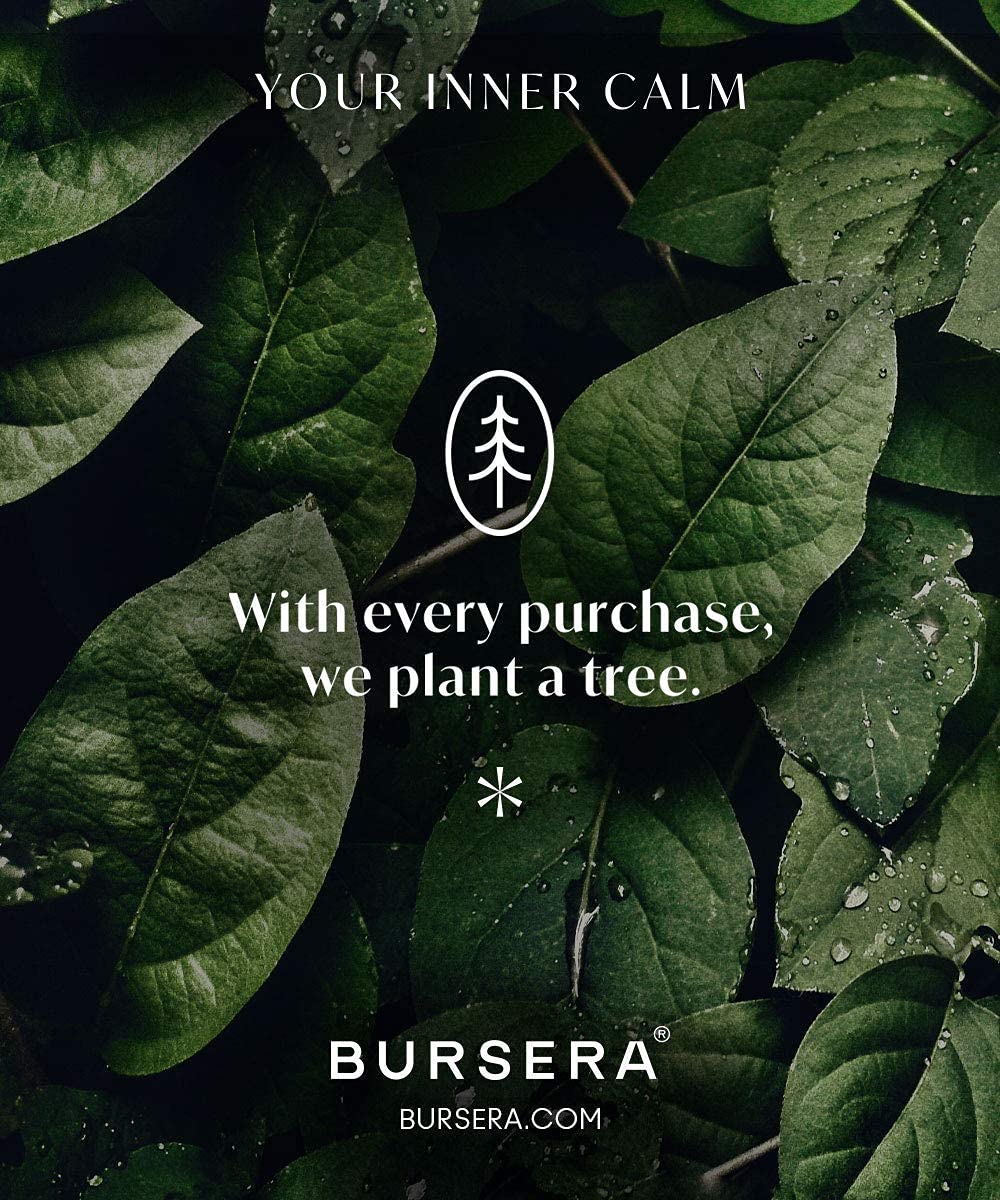 Bursera Peppermint Essential Oil, Tree Planted with Every Order, 100% Pure Peppermint Oil, 10ml Undiluted High Grade Natural Peppermint Oils for Diffuser, Shower, Skin and Aromatherapy