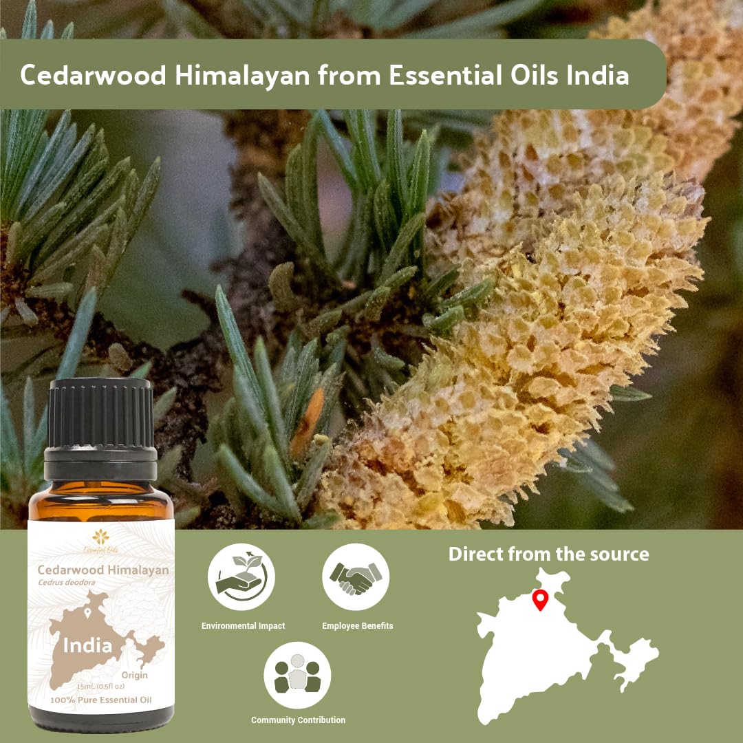 Nature Packaged Cedarwood Essential Oil (Himalayan) - Direct from Hindustan Mint & Agro in India - Essential Oil for Diffusers and Aromatherapy | Pure Therapeutic Grade (15ml)