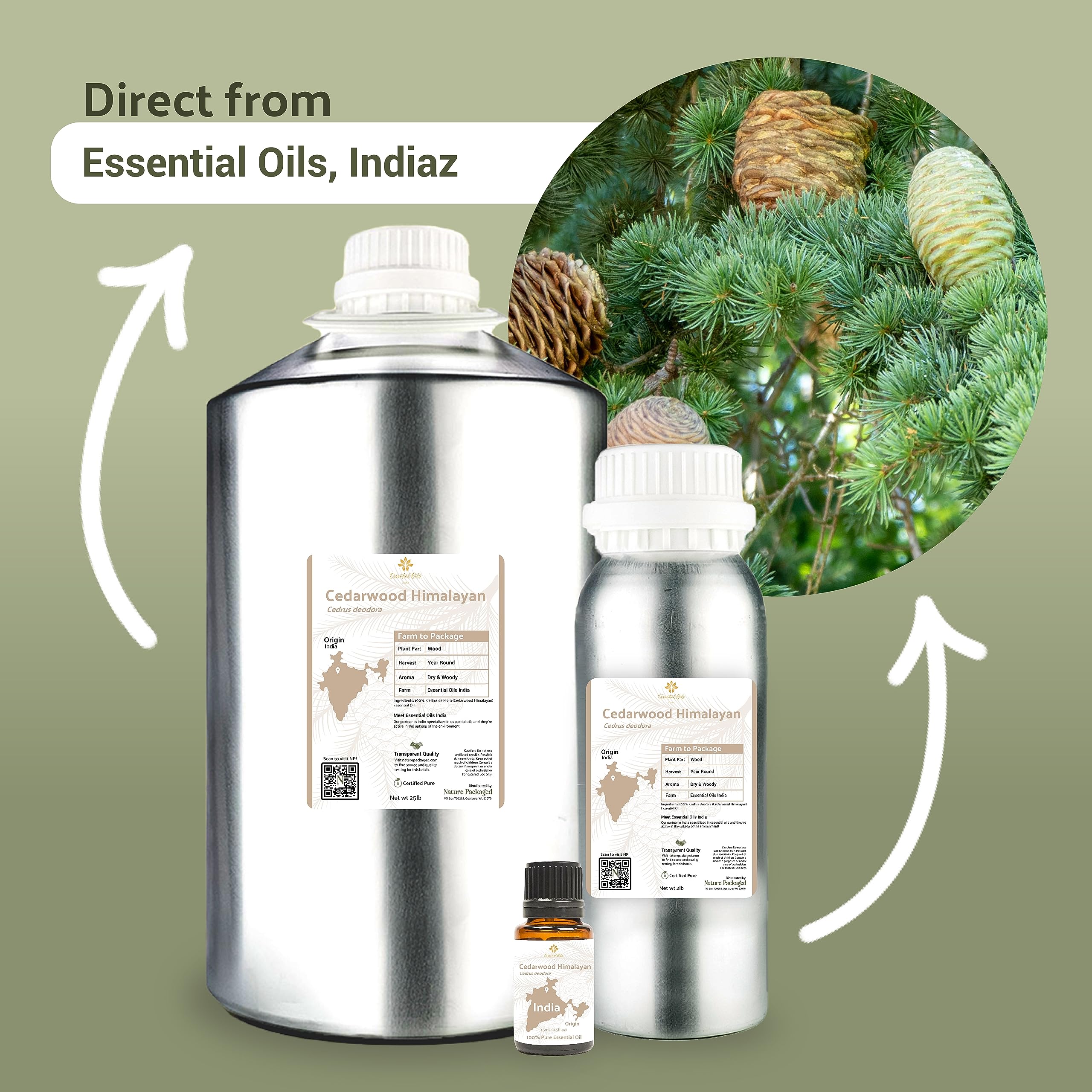 Nature Packaged Cedarwood Essential Oil (Himalayan) - Direct from Hindustan Mint & Agro in India - Essential Oil for Diffusers and Aromatherapy | Pure Therapeutic Grade (15ml)