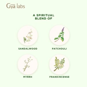 Gya Labs Mindful Meditation Essential Oil Blend (0.34 fl oz) - Natural Meditation Essential Oil - Grounding & Relaxing