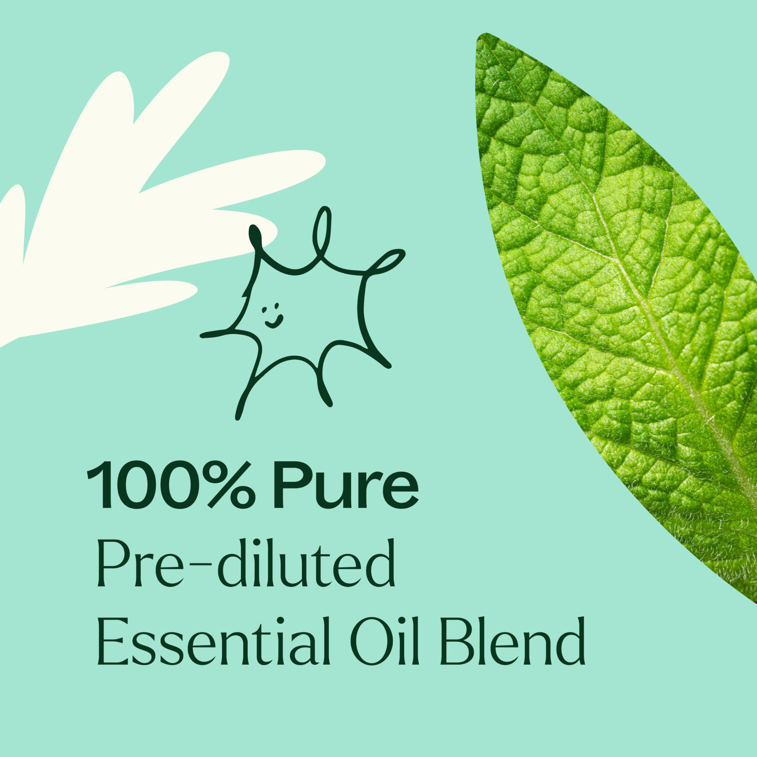 Plant Therapy Tension Relief Essential Oil Blend Pre-Diluted Roll-On 10 mL (1/3 oz) 100% Pure, Therapeutic Grade Essential Oils Diluted in Fractionated Coconut Oil