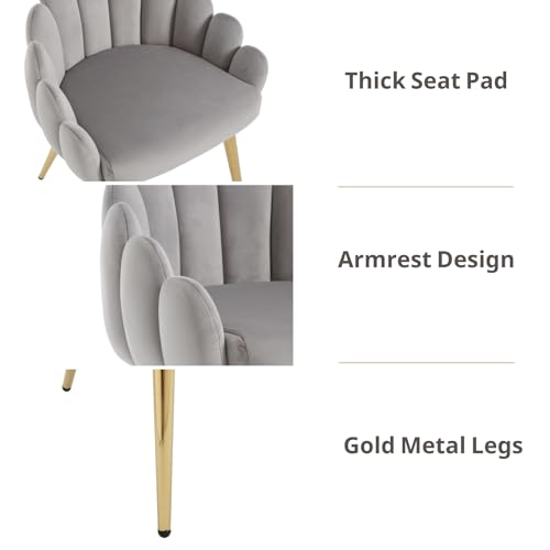 HEAH-YO Dining Chairs Set of 4, Upholstered Velvet Dining Room Chairs with Barrel Backrests and Gold Metal Legs, Comfy Accent Side Chairs for Living Room Kitchen, Grey