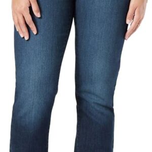 Signature by Levi Strauss & Co. Gold Women's Modern Straight Jeans (Available in Plus Size), (New) Angel Island, 12 Short