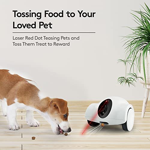 Dog Camera, Pet Camera Indoor with Phone App Cat Camera 15 Days Long Standby Pet Robot for Dog Treat Camera Dispenser Feeder 1080P Full HD Home Wifi Camera 360°Move Freely 2-Way Audio (2.4G WiFi ONLY)