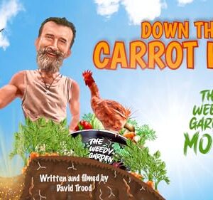 Down the Carrot Hole