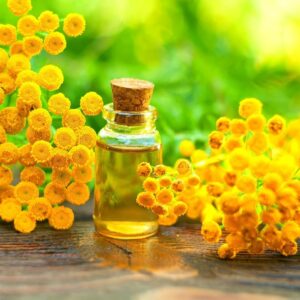 Tansy Herb Seeds for Planting (200 Seeds) - Excellent Cut Flower, Used for Essential Oil