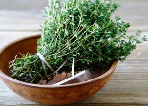 seeds common english thyme herbs for planting non gmo 500 seeds