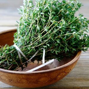 Seeds Common English Thyme Herbs for Planting Non GMO 500 Seeds