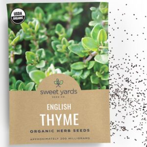 organic english thyme seeds – seed packet of over 8000 open pollinated non-gmo seeds – sweet yards seed co.