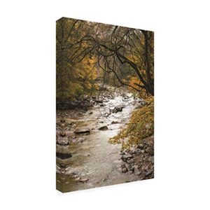 Trademark Fine Art, 16x24 Yellow Maples Along The River by Kurt Shaffer Photographs