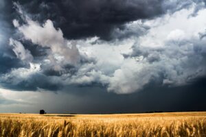 country photography print (not framed) picture of storm clouds gathering over golden wheat field on spring day in kansas western wall art farmhouse decor (11" x 14")