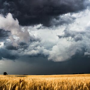 Country Photography Print (Not Framed) Picture of Storm Clouds Gathering Over Golden Wheat Field on Spring Day in Kansas Western Wall Art Farmhouse Decor (11" x 14")