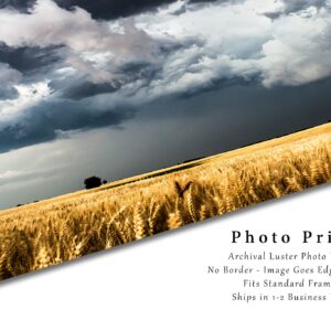 Country Photography Print (Not Framed) Picture of Storm Clouds Gathering Over Golden Wheat Field on Spring Day in Kansas Western Wall Art Farmhouse Decor (11" x 14")