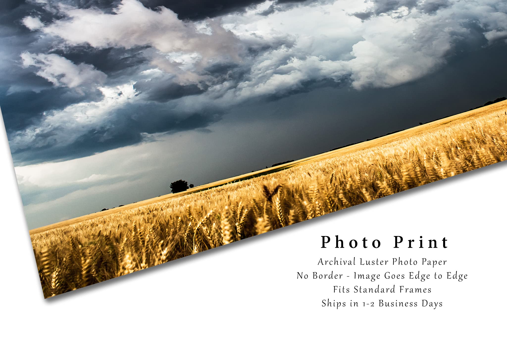 Country Photography Print (Not Framed) Picture of Storm Clouds Gathering Over Golden Wheat Field on Spring Day in Kansas Western Wall Art Farmhouse Decor (11" x 14")