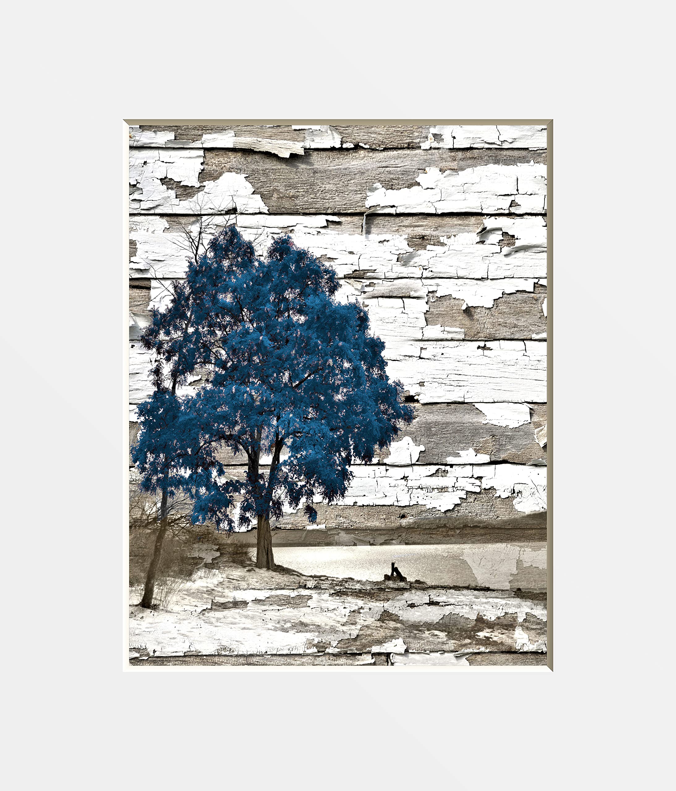 Blue Brown Home Decor Rustic Photography Photo Tree Lake Matted Wall Art Picture (11x14 with 16x20 mat)