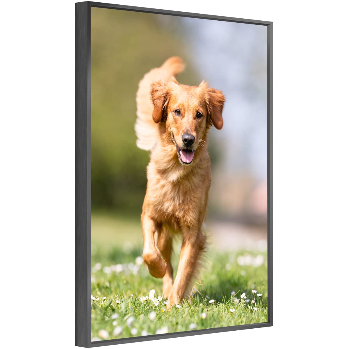 jenesaisquoi Custom Canvas Prints with Your Photos, Customized Canvas Prints Personalized Pictures Gifts for Bedroom, Living Room, Wedding Baby Pet Family (Black Aluminum Framed, 12x16)