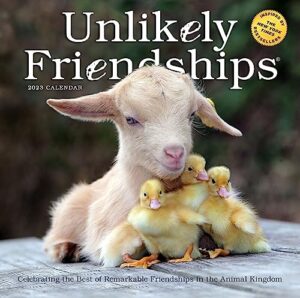 unlikely friendships wall calendar 2023: heartwarming photographs paired with stories of interspecies friendships