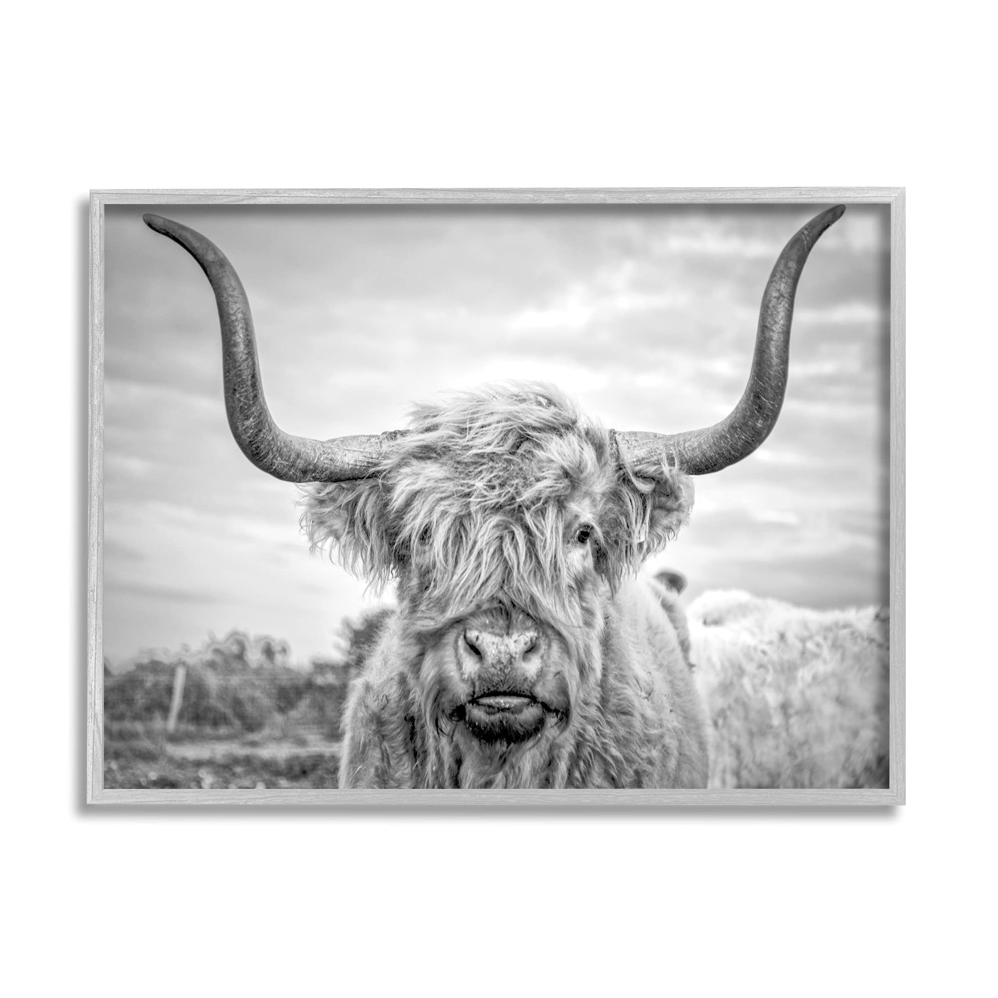 Stupell Industries Black and White Highland Cow Photograph, Grey Framed, 24 x 30