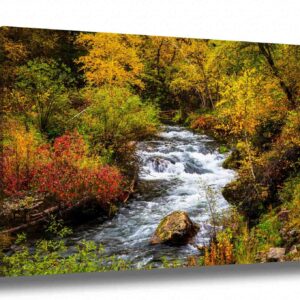 Black Hills Canvas Wall Art (Ready to Hang) Gallery Wrap of Fall Foliage Surrounding Creek on Autumn Day in Spearfish Canyon South Dakota Western Photography Nature Decor (.75, 24" x 36")