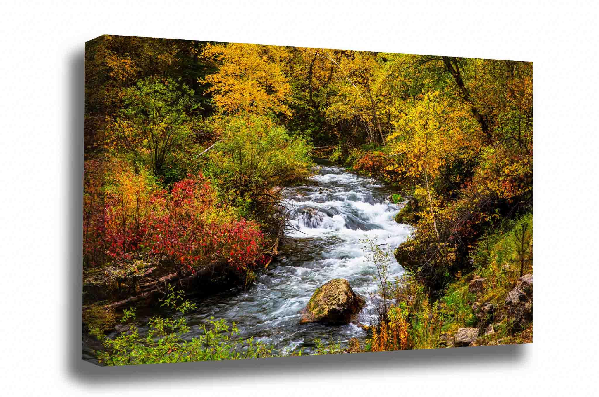 Black Hills Canvas Wall Art (Ready to Hang) Gallery Wrap of Fall Foliage Surrounding Creek on Autumn Day in Spearfish Canyon South Dakota Western Photography Nature Decor (.75, 24" x 36")