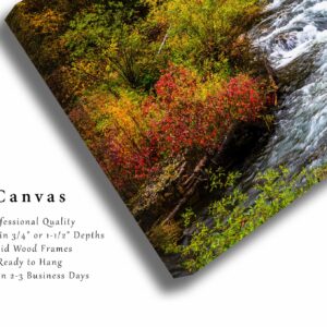 Black Hills Canvas Wall Art (Ready to Hang) Gallery Wrap of Fall Foliage Surrounding Creek on Autumn Day in Spearfish Canyon South Dakota Western Photography Nature Decor (.75, 24" x 36")