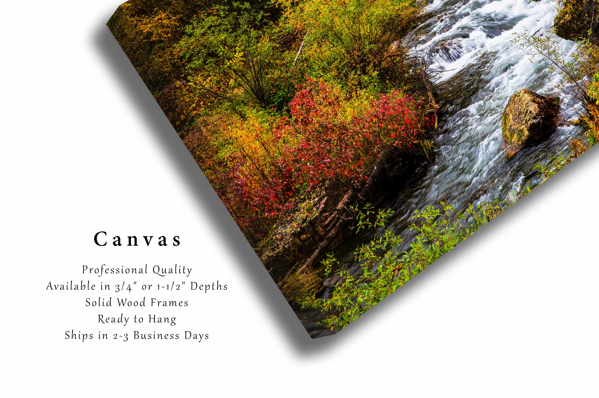 Black Hills Canvas Wall Art (Ready to Hang) Gallery Wrap of Fall Foliage Surrounding Creek on Autumn Day in Spearfish Canyon South Dakota Western Photography Nature Decor (.75, 24" x 36")