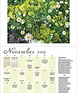 Herb Gardens 2023 Wall Calendar: Recipes & Herbal Folklore