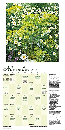 Herb Gardens 2023 Wall Calendar: Recipes & Herbal Folklore