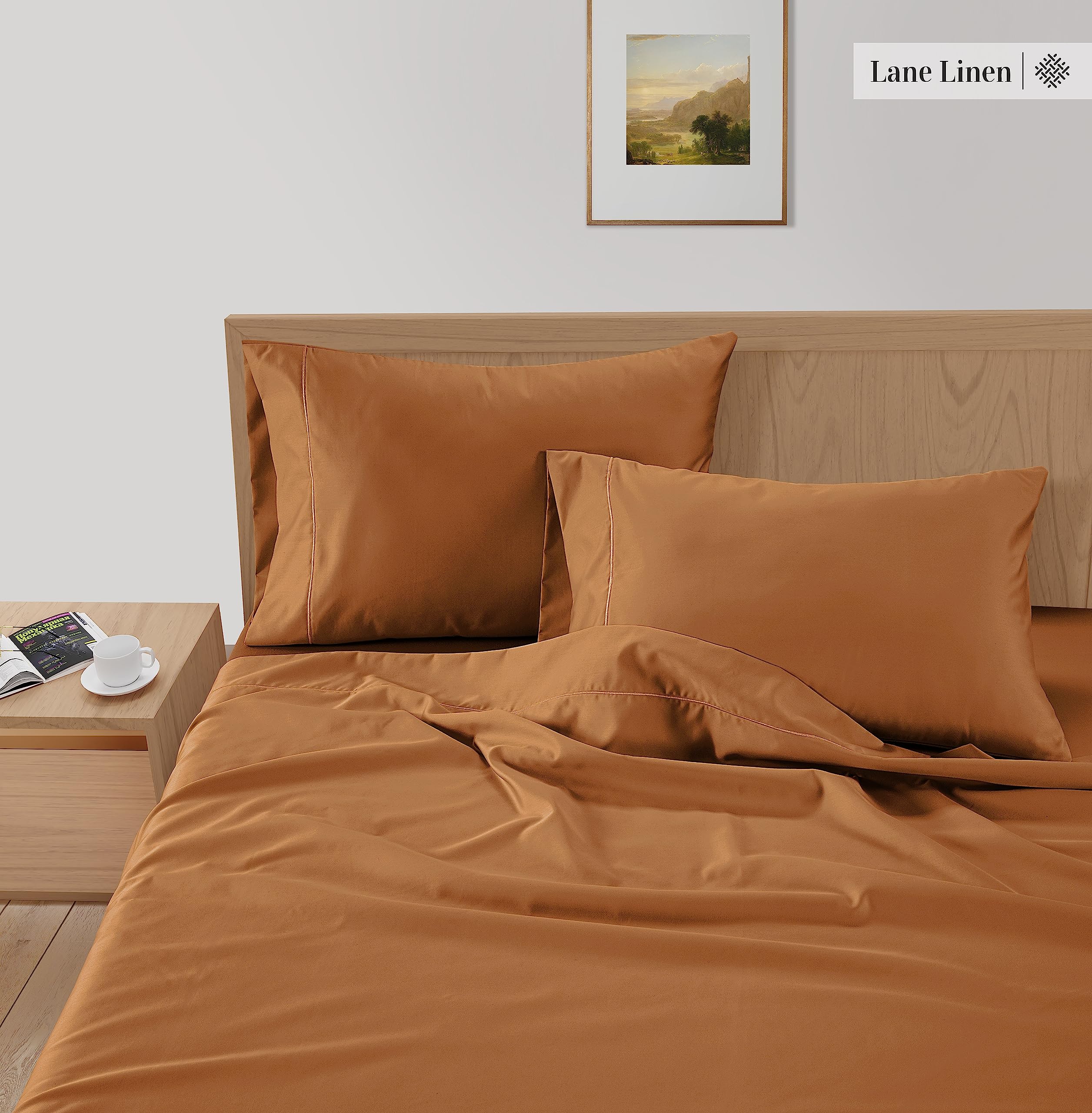 LANE LINEN Bamboo Sheets Queen - 100% Rayon from Bamboo Queen Sheets Set, 4 Pc Sheets for Queen Size Bed, Cooling Sheets, Soft & Breathable Bed Sheets Queen, Deep Pocket Queen Sheets - Pumpkin Spice