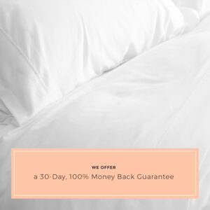 PeachSkinSheets Classic White Sheet Set - 1500tc Level of Softness - Extra Soft Cooling Sheets for Hot Sleepers and Night Sweats - Regular King Size