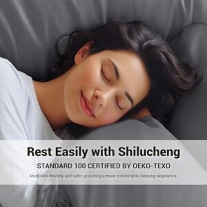 Shilucheng 4-Piece Queen Size Sheets Set，Rayon Derived from Bamboo_，Cooling & Breathable Bed Sheets, Silky Bedding Sheets & Pillowcases, 16 Inch Deep Pockets (Queen,Dark Grey)