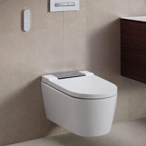 Geberit 115788212 Toilets and Bidets, Bright Chrome-Plated