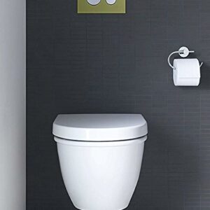 Duravit 2545090092 Toilet Bowl Wall Mounted Darling New