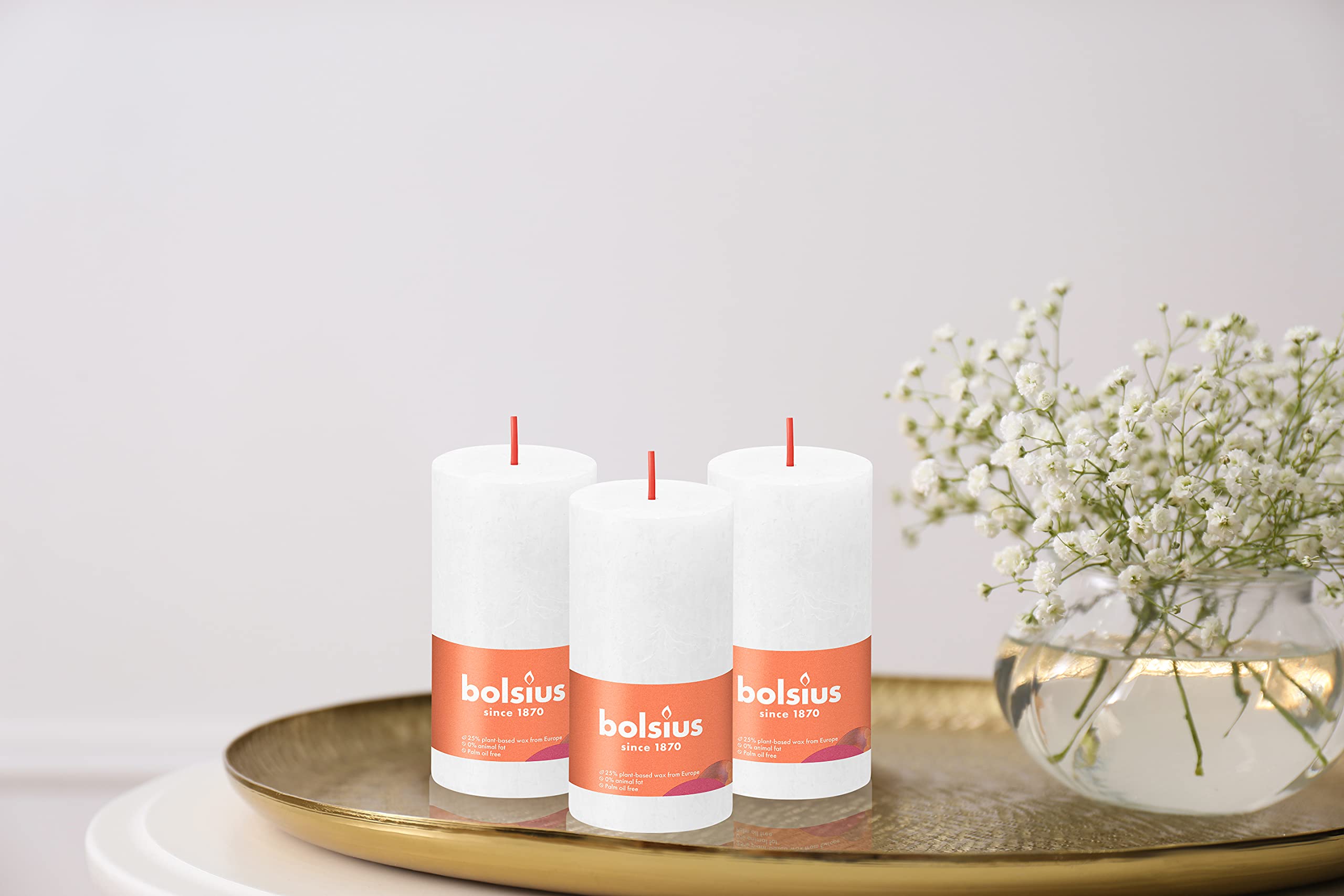 BOLSIUS 4 Pack White Rustic Pillar Candles - 2 X 4 Inches - Premium European Quality - includes Natural Plant-Based Wax - Unscented Dripless Smokeless 30 Hour Party Décor and Wedding Candles