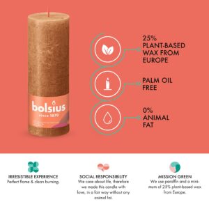 BOLSIUS 4 Pack Spice Brown Rustic Pillar Candles - 2.75 X 7.5 Inches - Premium European Quality - includes Natural Plant-Based Wax - Unscented Dripless Smokeless 85 Hour Party Décor Candles