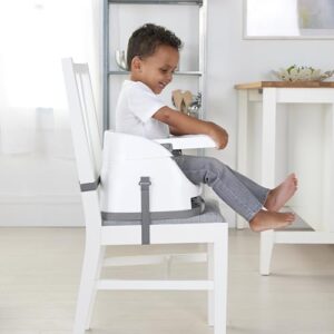 Ingenuity Baby Base 2-in-1 Booster Feeding and Floor Seat with Self-Storing Tray - Mist