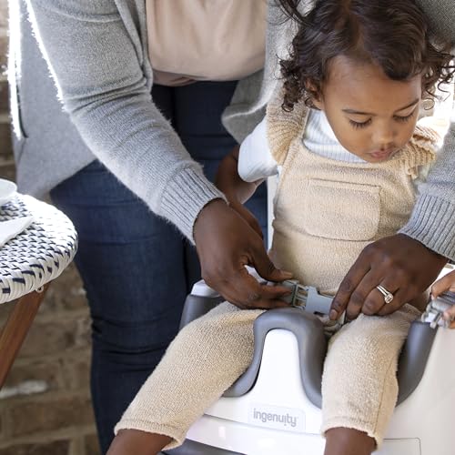 Ingenuity Baby Base 2-in-1 Booster Feeding and Floor Seat with Self-Storing Tray - Mist