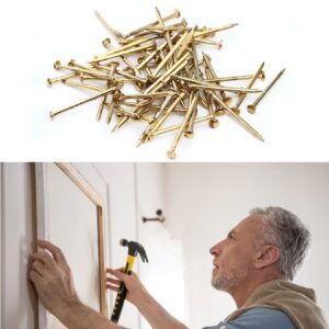 YOUYIDUN - 450 Pcs Nail Assortment Kit, Brass Nails for Hanging Pictures, Gold Finishing Nails Hardware Assortment Set, (0.78 in|1 in|1.57 in|2 in) Small Nails for Picture Hanging/Wood/Concrete Wall