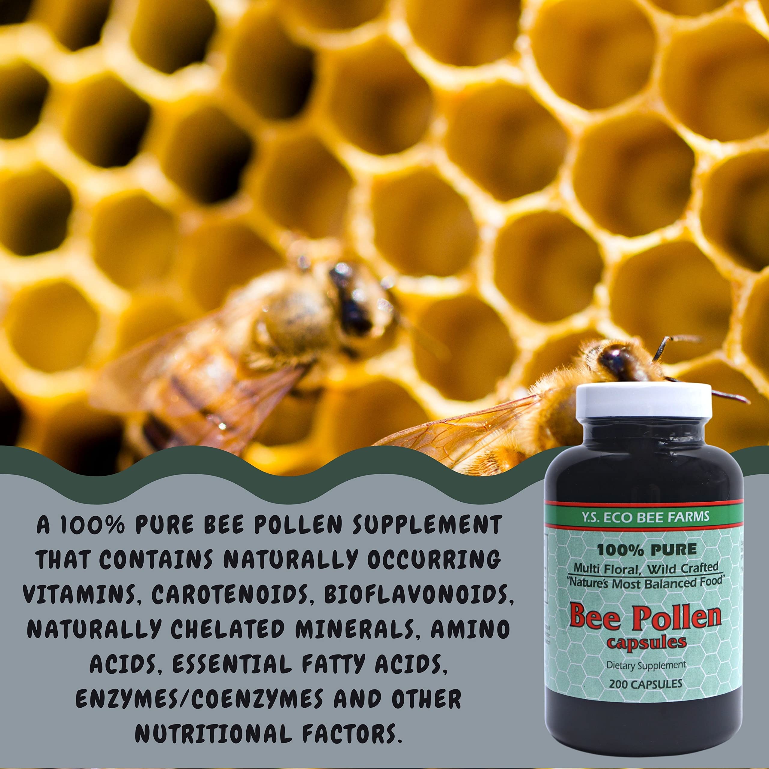 Y.S. Eco Bee Farms 100% Pure, Wild Crafted Bee Pollen Capsules - Organic Bee Pollen Vitamin Supplements Amino Acids, Organic Protein, Vitamin C, Vitamin B12 Gluten Free - 200ct with Bonus Key Chain