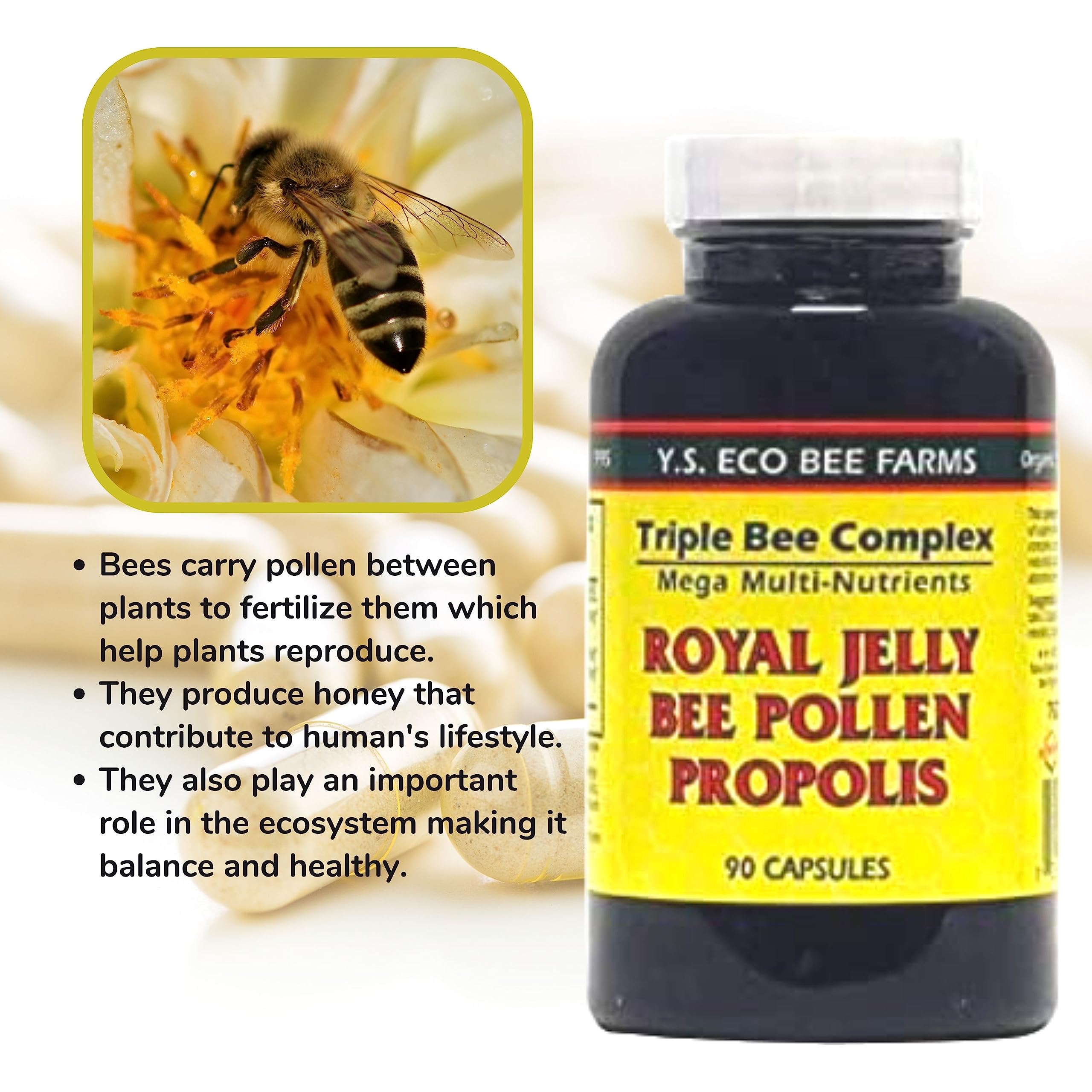 YS Organics Triple Bee Complex, Royal Jelly, Bee Pollen, Propolis - The Power of Nature Packed in 90 Capsules with Bonus worldwidenutrition Multi Purpose Key Chain