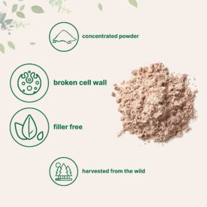 Pure Pine Pollen Powder, 6 Ounce, Wild Harvest an Broken Cell Wall, Supports Immune System Health, Boosts Energy, Antioxidant & Androgenic, No GMOs, Vegan Friendly