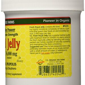 Fresh Royal Jelly + Bee Pollen, Propolis, Ginseng, Honey Mix - 36,000mg Y.S. Org 20.3 oz