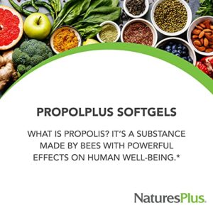 NaturesPlus Propolplus - 180 mg, 60 Softgels - Quality Bee Propolis Supplement with Bee Pollen - 60 Servings