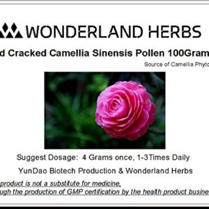 WonderLand Herbs Organic Cracked Cell Wall Wild Harvested Camellia Sinensis Pollen Powder 100 Grams (3.5 oz.) for Beauty