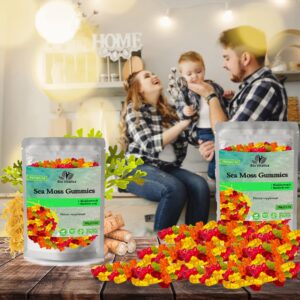 Sea Moss Gummies - Irish sea Moss raw Organic, Bladderwrack, Burdock Root. Contains Sea Moss Gel and Powder. Superfoods for Vegan, Keto and Dr Sebi Diet. Immune Boosting (1, ORIGINAL)