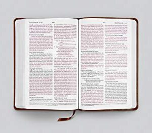 ESV Thinline Bible (TruTone, Royal Lion)