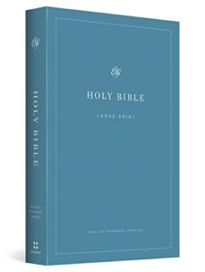 esv economy bible, large print