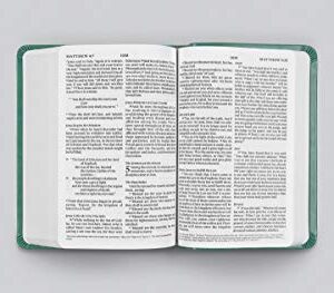 ESV Value Large Print Compact Bible (TruTone, Teal, Ornament Design Size: 8.0)