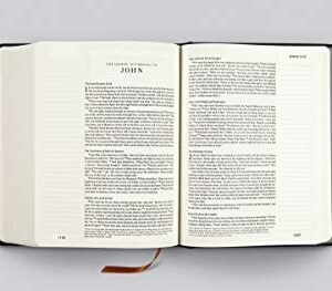 ESV Single Column Journaling Bible, Artist Series (Hardcover, Joshua Noom, The Lion and the Lamb)